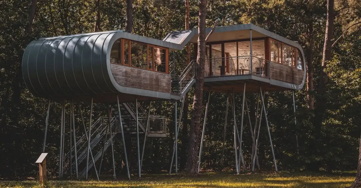 Cabane dans les arbres : permis de construire et démarches