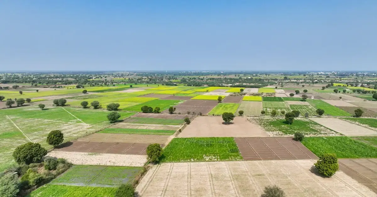 Permis de construire sur terrain agricole : le guide pour l'obtenir.