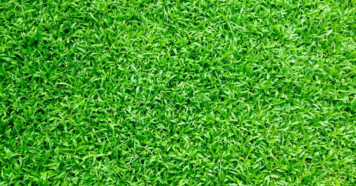 Extension Abri de Jardin : Permis de Construire et