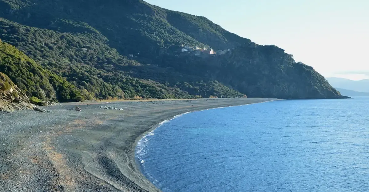 Film corse : la bataille pour le permis de construire.