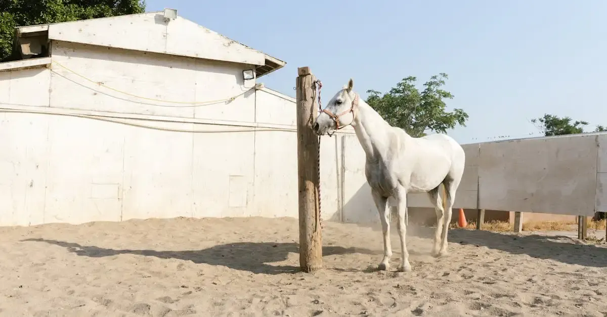 Cerfa Permis de Construire pour Box à Chevaux : Guide