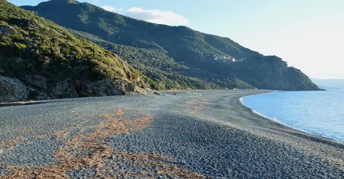 Film corse : la bataille pour le permis de construire.