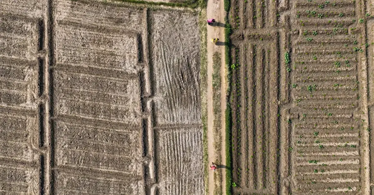 Permis de construire sur terrain agricole : le guide pour l'obtenir.