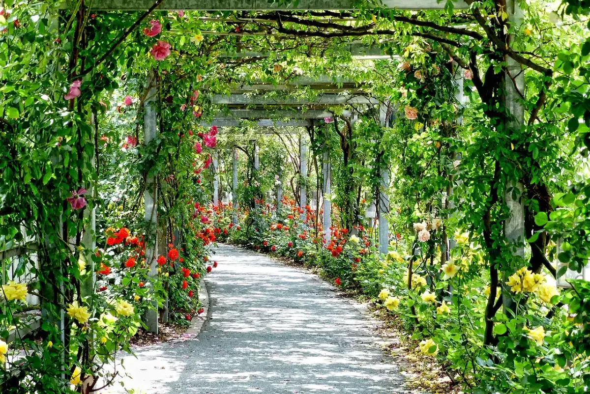 Quelle surface pour une pergola sans permis de construire