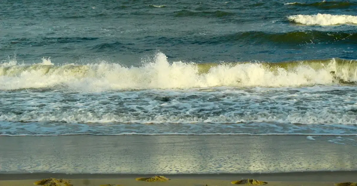 Loi Littoral : Comprendre le permis de construire