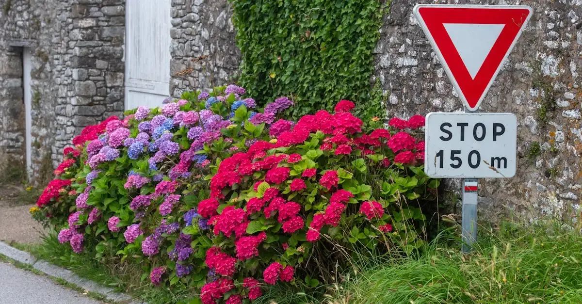 Loi Montagne : Permis de Construire et Réglementation