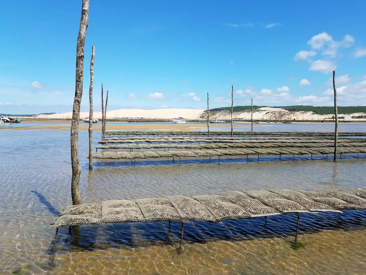 Permis de Construire à Arcachon : Guide et démarches